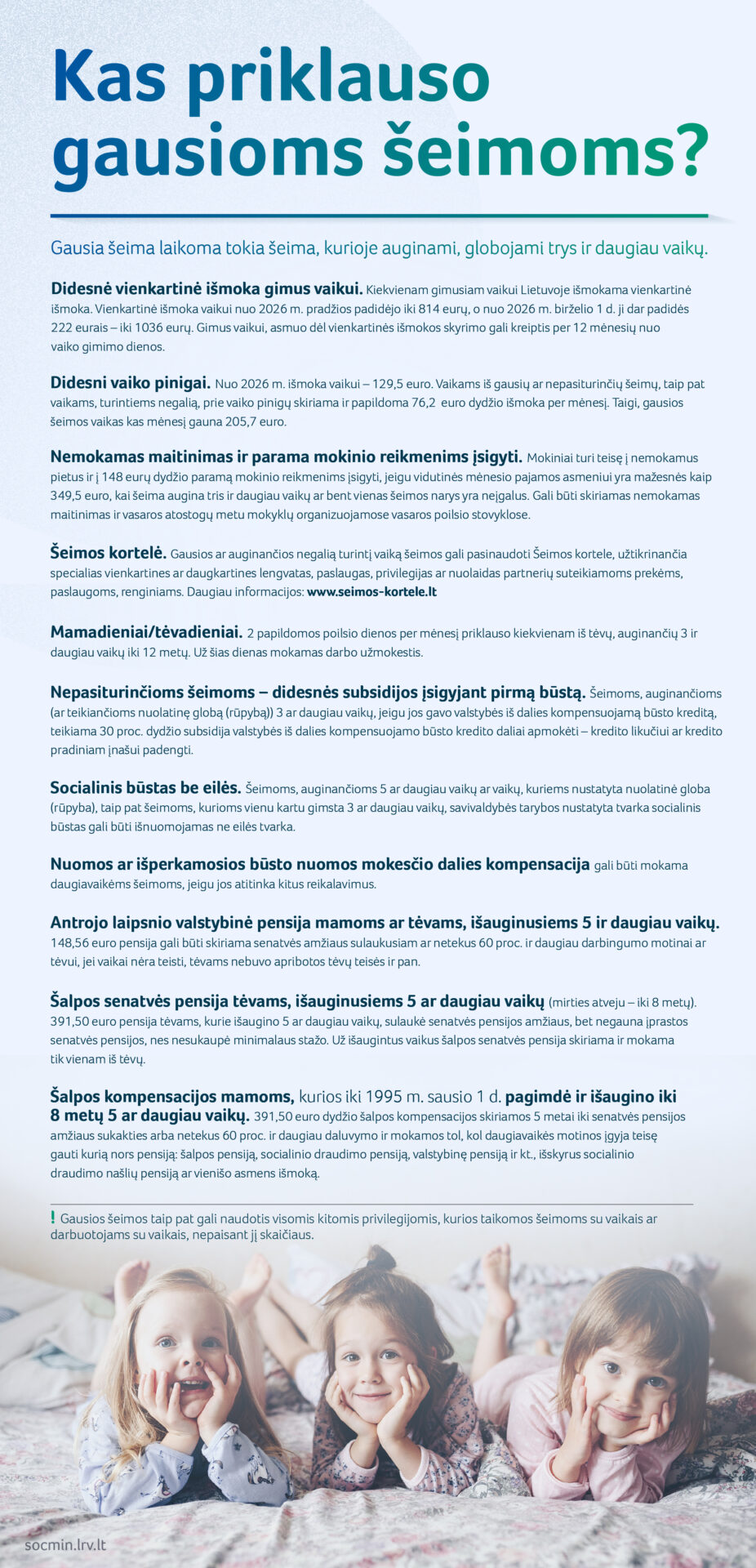 Kas priklauso gausioms šeimoms?