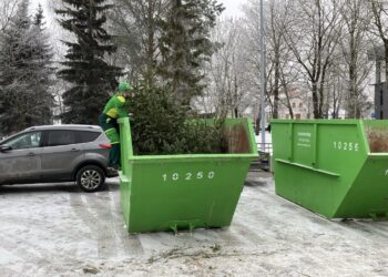 Marijampolėje surengta šventė-akcija „Atsisveikinimas su šventės širdimi“: bendruomenė atsisveikino su eglutėmis tvariai