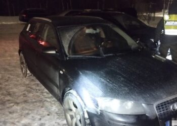 Keturi afrikiečiai svajonių šalies nepasiekė, pakruojiečio pelną nusinešė vėjas