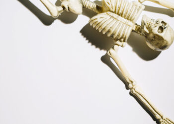 Skeletas