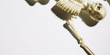 Skeletas