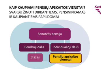 Nuo atlyginimo iki pensijos: kaip kaupiami pensijų apskaitos vienetai