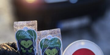 Lietuvoje vyksta prevencinė priemonė „Saugos diržai“ - ypatingas dėmesys skiriamas vaikų saugumui