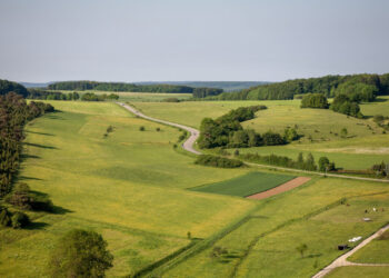 Žemė
