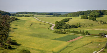 Žemė