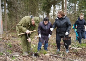 Vilkaviškio savivaldybės darbuotojai mišką sodino Prezidento V. Adamkaus garbei
