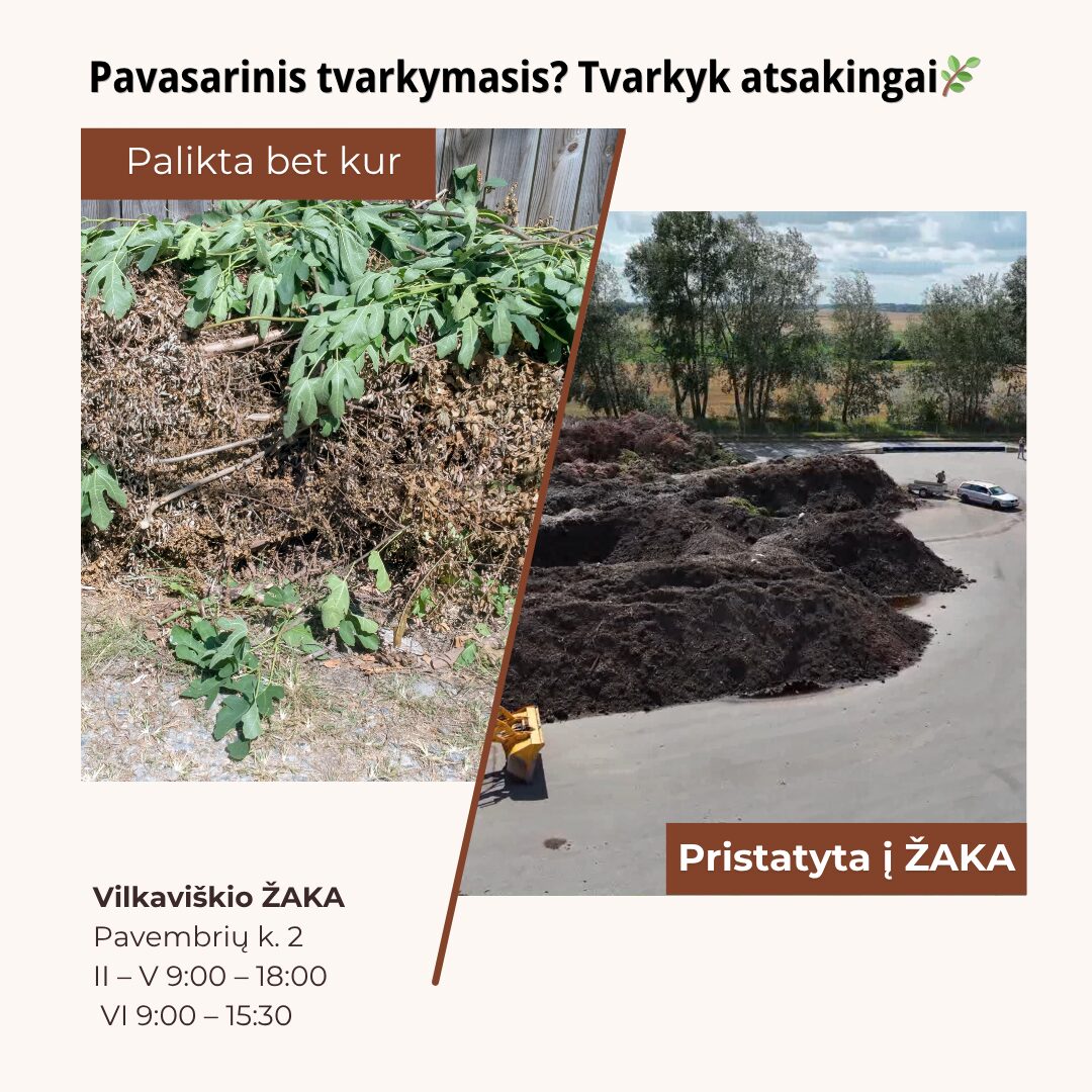 Pavasarinis tvarkymasis: kaip tinkamai tvarkyti žaliąsias atliekas?