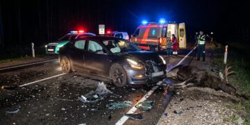 Po susidūrimo su laukiniu gyvūnu kelyje Marijampolė–Kaunas – du keleiviai ligoninėje