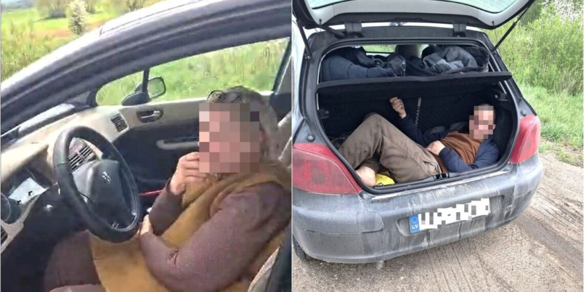 Budraus kolegos dėka pasieniečiai sulaikė keturis migrantus gabenusią Latvijos pilietę