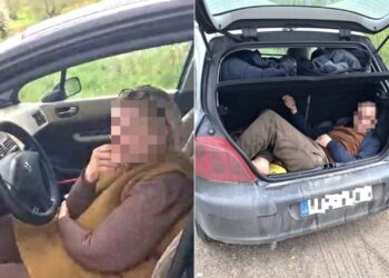 Budraus kolegos dėka pasieniečiai sulaikė keturis migrantus gabenusią Latvijos pilietę