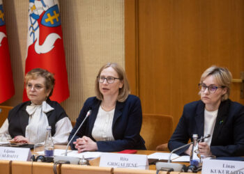 Vilkaviškis – šeimai draugiška savivaldybė: sėkmės receptas pristatytas Seime
