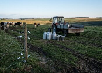 Jusevičiuose iš laukų pavogtas elektrinis piemuo ir melžimo aparatai