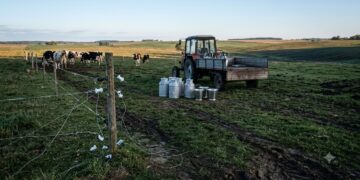 Jusevičiuose iš laukų pavogtas elektrinis piemuo ir melžimo aparatai