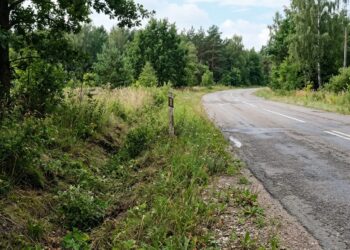 Mįslinga mirtis Skindeliškės kaime: pakelės griovyje aptiktas negyvas vyras